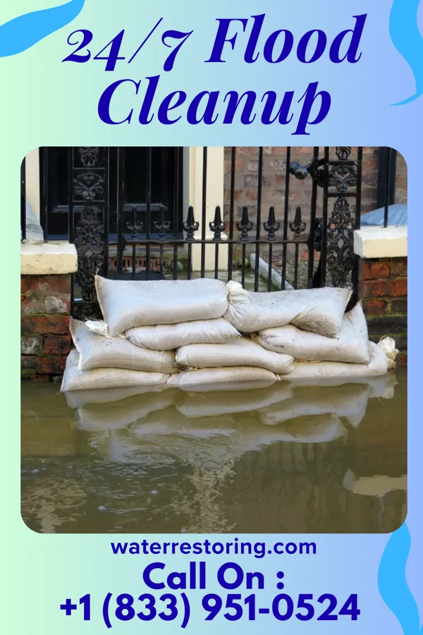 24/7 Flood Cleanup in Ava, MO