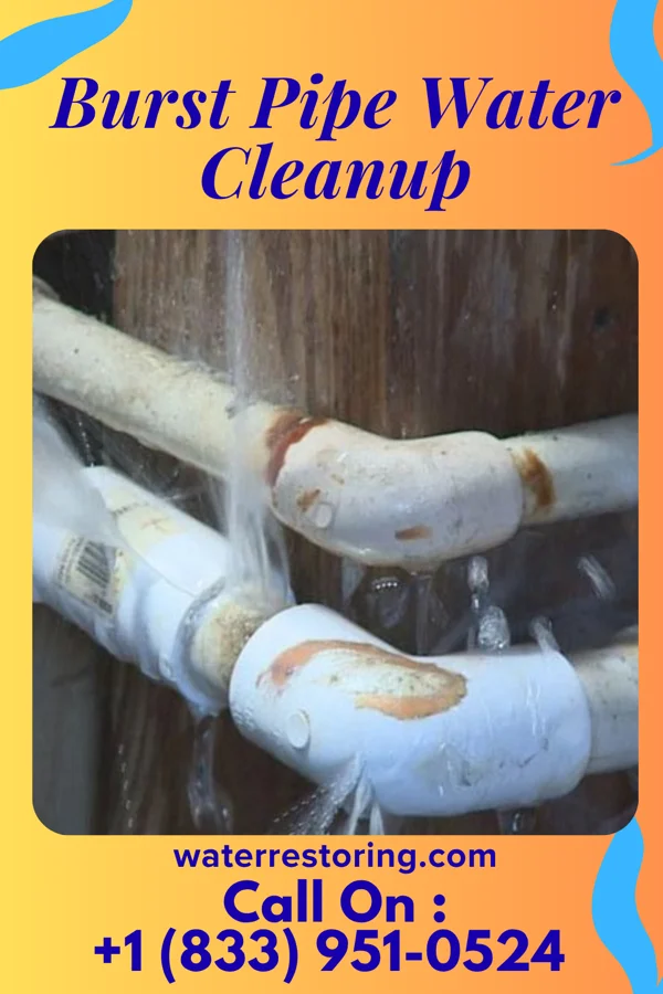 Burst Pipe Water Cleanup in Ava, MO
