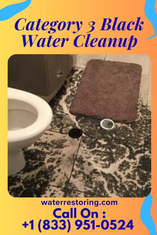 Category 3 Black Water Cleanup in Ava, MO