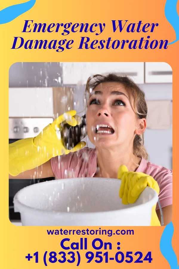 Emergency Water Damage Restoration in Ava, MO