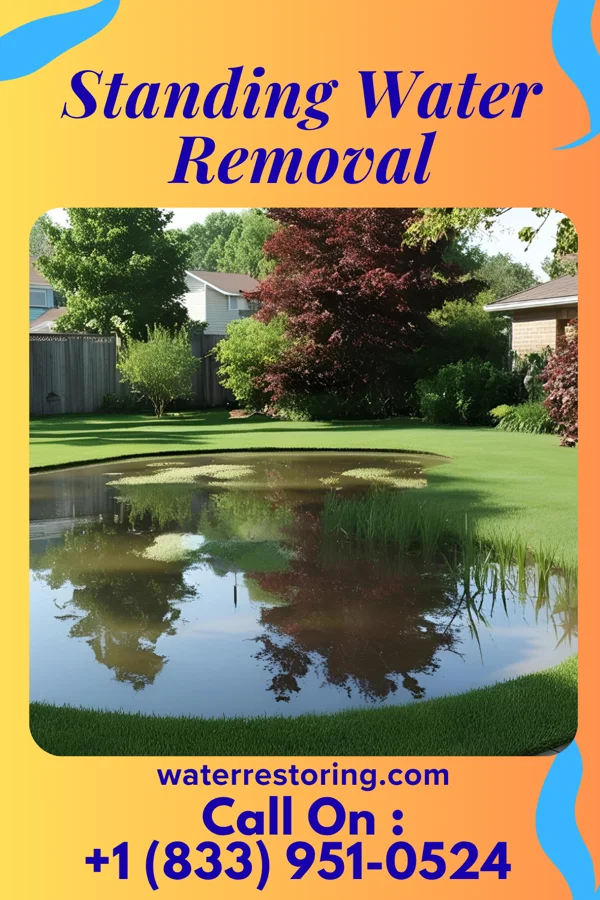 Standing Water Removal in Ava, MO